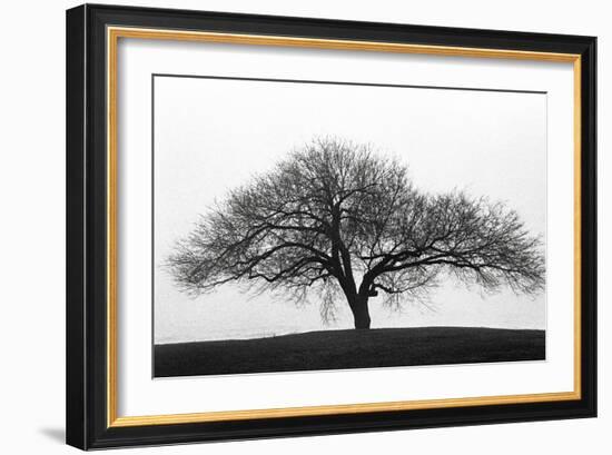 Solitary-Jay Wesler-Framed Giclee Print