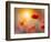 Solitary-Marco Carmassi-Framed Photographic Print