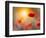 Solitary-Marco Carmassi-Framed Photographic Print