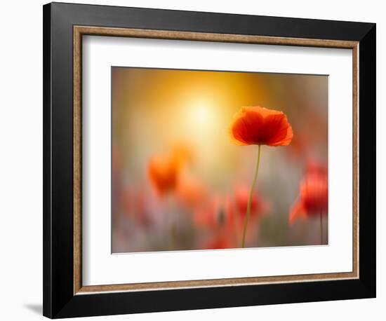 Solitary-Marco Carmassi-Framed Photographic Print