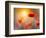 Solitary-Marco Carmassi-Framed Photographic Print