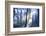 Solitude Bleue-Viviane Fedieu Daniel-Framed Photographic Print