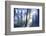 Solitude Bleue-Viviane Fedieu Daniel-Framed Photographic Print