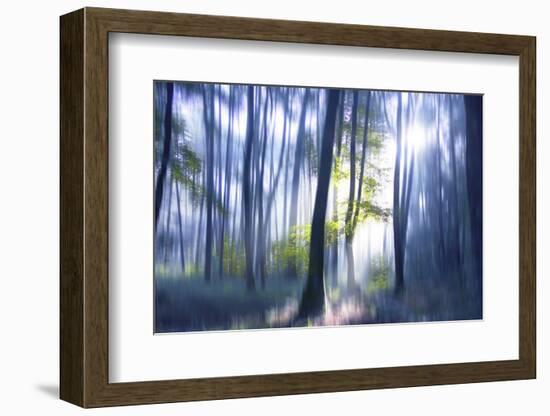 Solitude Bleue-Viviane Fedieu Daniel-Framed Photographic Print