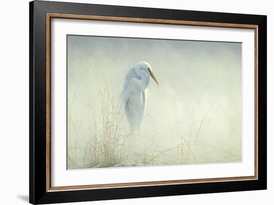 Solitude Egret-Michael Budden-Framed Giclee Print