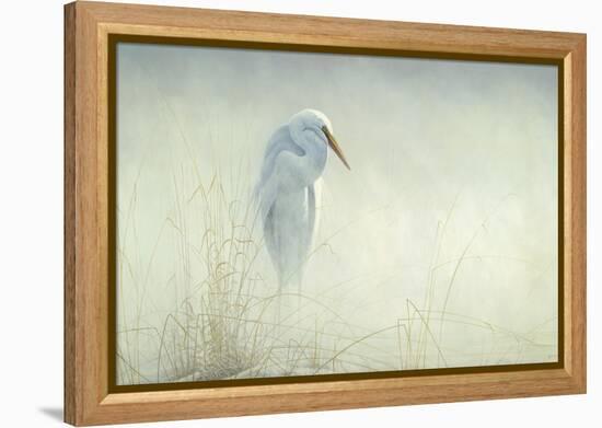 Solitude Egret-Michael Budden-Framed Premier Image Canvas