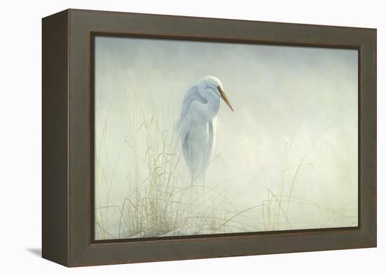 Solitude Egret-Michael Budden-Framed Premier Image Canvas