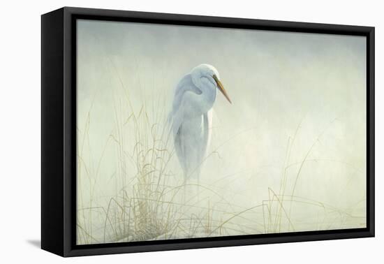 Solitude Egret-Michael Budden-Framed Premier Image Canvas