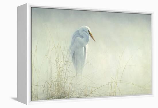 Solitude Egret-Michael Budden-Framed Premier Image Canvas