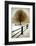 Solitude-David Winston-Framed Art Print