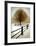 Solitude-David Winston-Framed Art Print