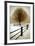 Solitude-David Winston-Framed Art Print