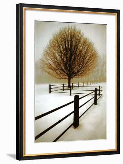 Solitude-David Winston-Framed Art Print