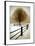 Solitude-David Winston-Framed Art Print