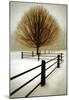 Solitude-David Winston-Mounted Art Print