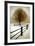 Solitude-David Winston-Framed Art Print