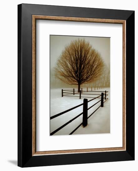 Solitude-David Winston-Framed Art Print