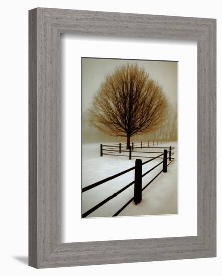 Solitude-David Winston-Framed Art Print