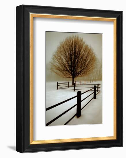 Solitude-David Winston-Framed Art Print