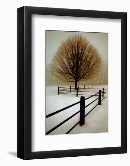 Solitude-David Winston-Framed Art Print