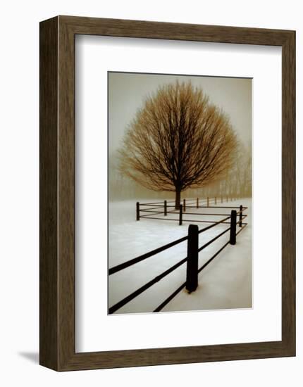 Solitude-David Winston-Framed Art Print