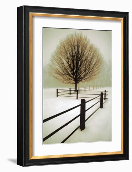 Solitude-David Winston-Framed Art Print