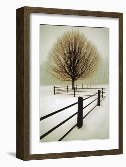 Solitude-David Winston-Framed Art Print