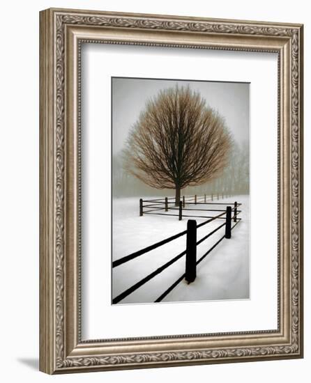 Solitude-David Winston-Framed Giclee Print