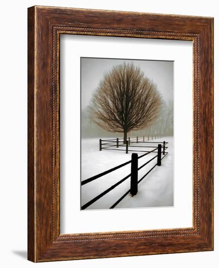 Solitude-David Winston-Framed Giclee Print