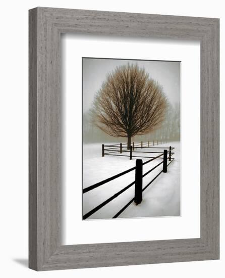 Solitude-David Winston-Framed Giclee Print