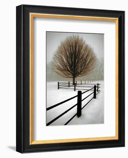 Solitude-David Winston-Framed Giclee Print