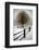 Solitude-David Winston-Framed Giclee Print