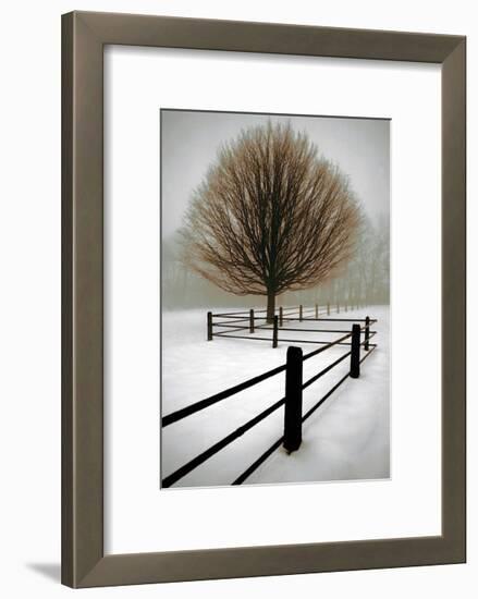 Solitude-David Winston-Framed Giclee Print