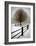 Solitude-David Winston-Framed Giclee Print