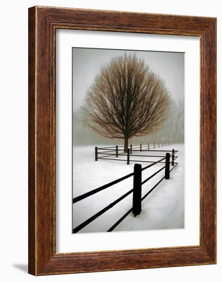 Solitude-David Winston-Framed Giclee Print