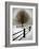 Solitude-David Winston-Framed Giclee Print