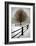 Solitude-David Winston-Framed Giclee Print