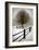 Solitude-David Winston-Framed Giclee Print