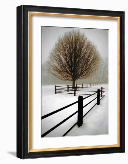 Solitude-David Winston-Framed Giclee Print