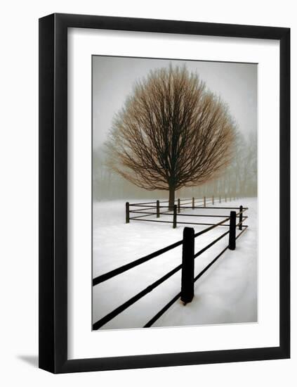 Solitude-David Winston-Framed Giclee Print