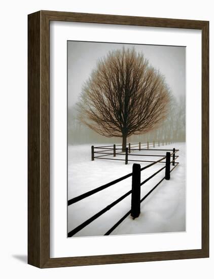 Solitude-David Winston-Framed Giclee Print