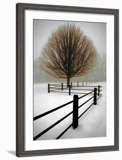 Solitude-David Winston-Framed Giclee Print