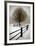 Solitude-David Winston-Framed Giclee Print