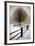 Solitude-David Winston-Framed Giclee Print