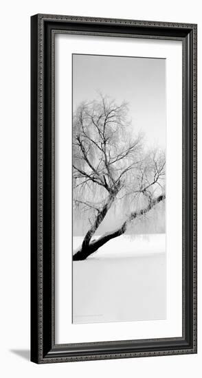 Solitude-null-Framed Art Print