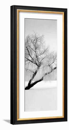 Solitude-null-Framed Art Print