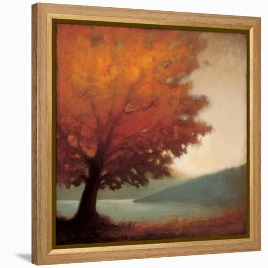 Solitude-Edward Raymes-Framed Stretched Canvas