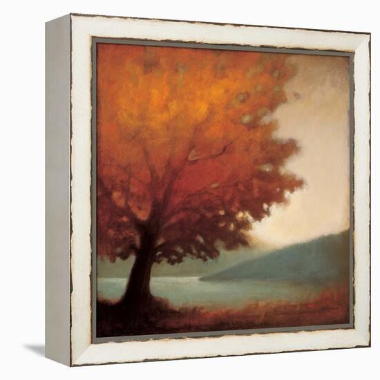 Solitude-Edward Raymes-Framed Stretched Canvas