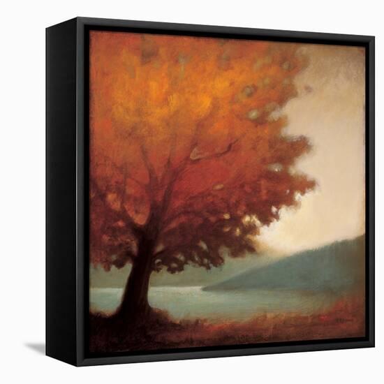 Solitude-Edward Raymes-Framed Stretched Canvas