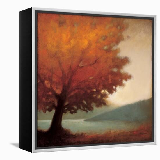 Solitude-Edward Raymes-Framed Stretched Canvas